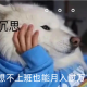 想不上班也能月入过万，来试试这5款赚钱软件
